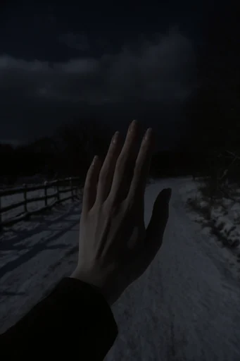 Cinematic Nocturnal Noir style reference image — dense atmospheric fog