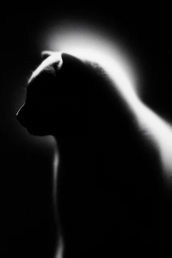 Luminous Noir Abstraction style AI image example 3