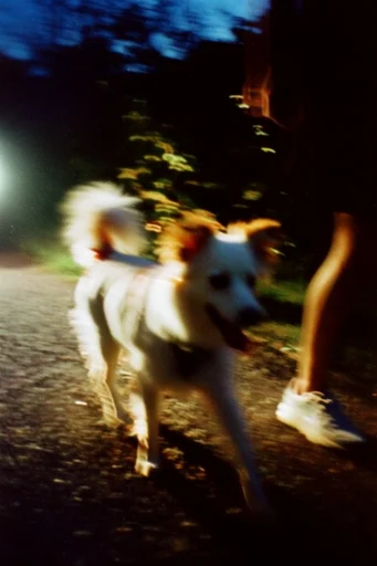 Cinematic Nocturnal Blur style reference image — neon glow
