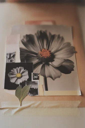 Tactile Surrealist Collage style reference image — high-contrast edges