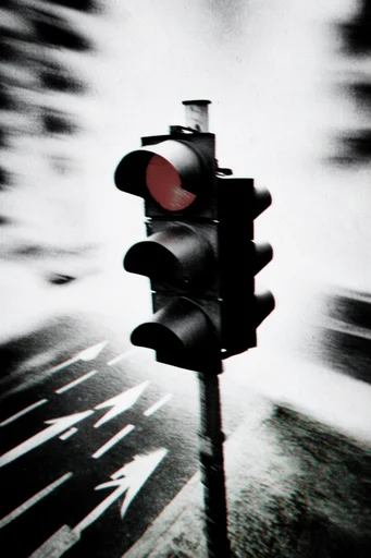 Disintegrated Monochrome Glitch style reference image — chromatic aberration