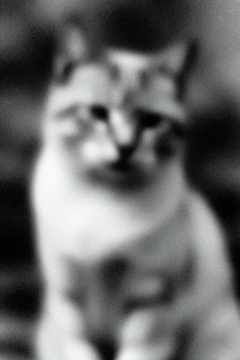 Kinetic Noir Abstraction style reference image — lo-fi darkroom texture