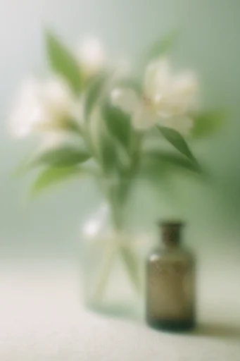 Ethereal Muted Haze style reference image — heavy film grain