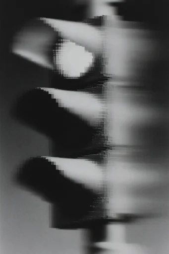 Monochrome Analog Decay style reference image — analog glitch art