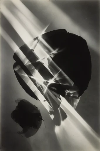 Avant-Garde Noir Photogram style reference image — avant-garde surrealism