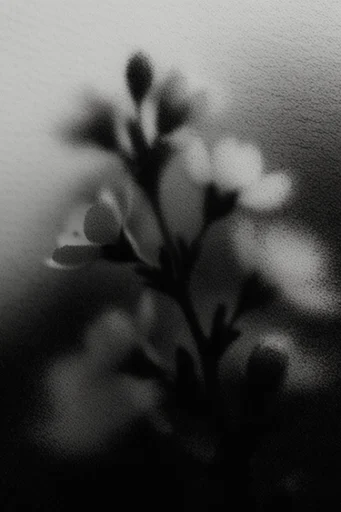 Ethereal Noir Pictorialism style reference image — stark silhouette