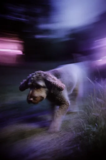 Spectral Nocturnal Blur style reference image — haunting dreamlike atmosphere