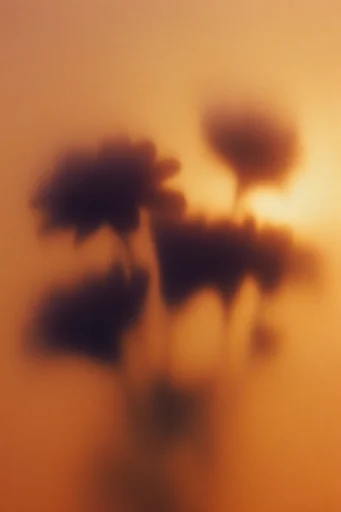 Ethereal Amber Haze style reference image — prismatic light leaks