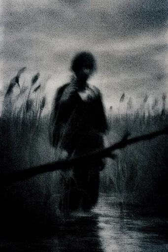 Nocturnal Monochrome Noir moodboard — generate AI images in this style