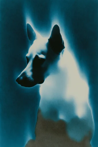 Spectral Noir Ethereal style reference image — surreal double exposure