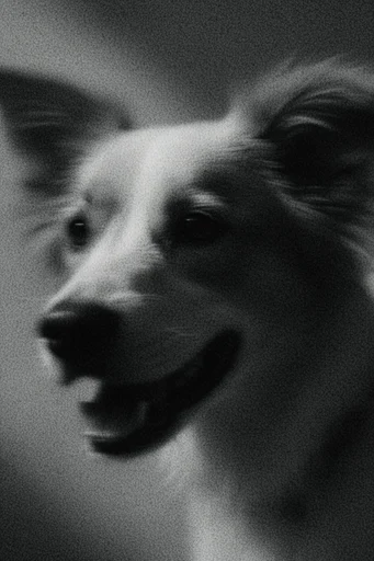 Tactile Cinematic Noir style reference image — abstract chiaroscuro