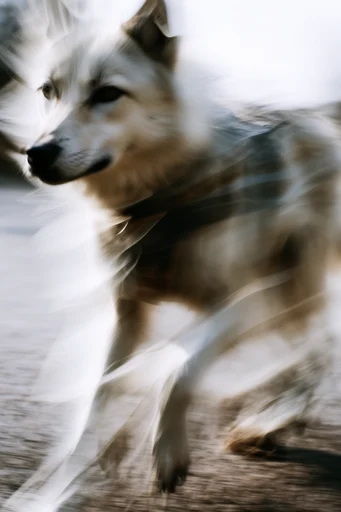 Kinetic Ethereal Velocity style AI image example 3