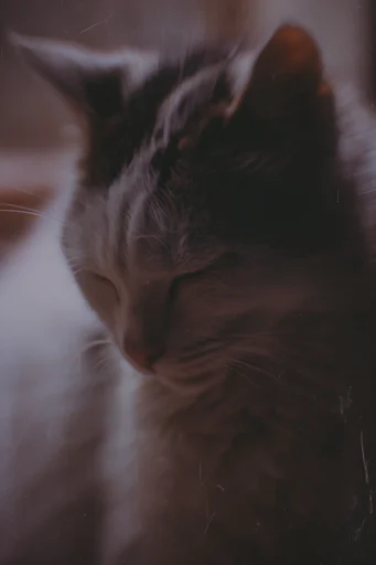 Ethereal Fragmented Melancholy style reference image — refractive glass distortion