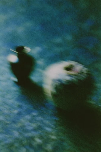 Luminous Motion Impressionism style reference image — heavy analog film grain