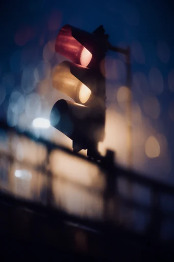 Luminous Nocturnal Silhouette style reference image — rim lighting