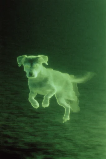 Eerie Luminescent Nocturne style reference image — deep teal and moss green palette