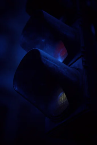 Nocturnal Bioluminescent Noir style reference image — low-key chiaroscuro lighting