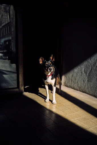 Cinematic Urban Chiaroscuro style reference image — cinematic lighting
