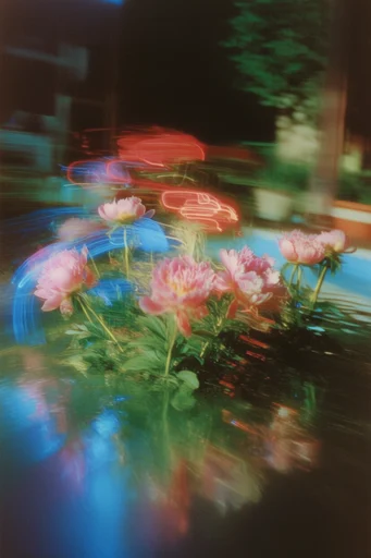 Cinematic Nocturnal Blur style reference image — dreamy soft focus