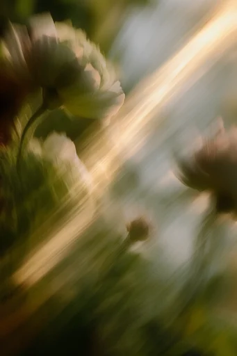 Ethereal Kinetic Impressionism style reference image — organic color palette