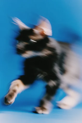 Kinetic Cobalt Motion style reference image — dynamic athletic pose