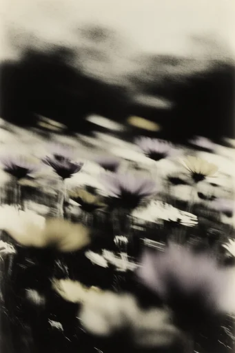 Spectral Monochrome Noir style reference image — ghostly silhouettes