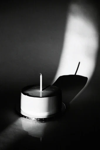 Stark Geometric Chiaroscuro style reference image — minimalist noir