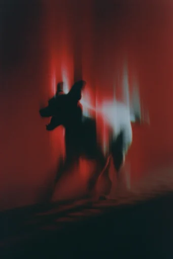 Ethereal Crimson Nocturne style reference image — soft focus