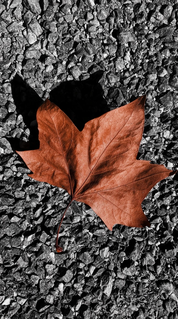 A crisp, rusty-brown autumn leaf resting on a bed of coarse, monochromatic grey crushed stone. The brittle, lobed leaf features prominent organic veins, a crinkled surface, and a delicate stem curving toward the bottom left. The surrounding gravel is a highly desaturated mix of rough angular rocks and pebbles, creating a stark visual contrast between the warm copper tones of the leaf and the cold mineral background. Intense, direct lighting from the lower right casts a sharp, deep black shadow to the upper left, emphasizing the rich textural differences in this top-down macro composition.