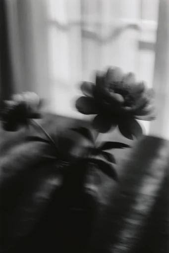 Kinetic Spectral Monochrome style reference image — ethereal portraiture