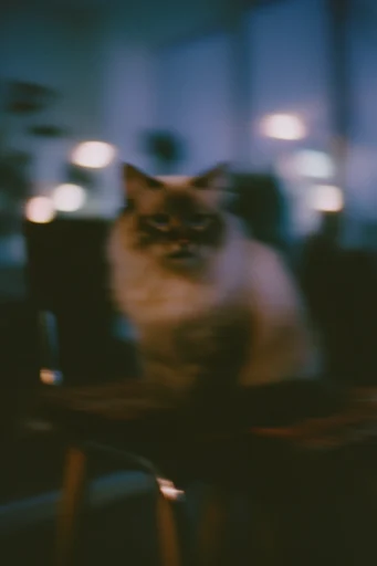 Nocturnal Cinematic Blur style reference image — high-contrast noir shadows