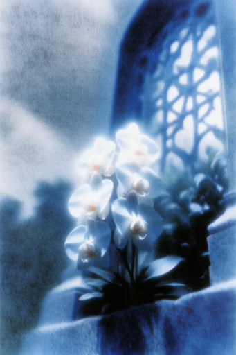 Ethereal Cyber Nostalgia style reference image — ethereal glowing bloom