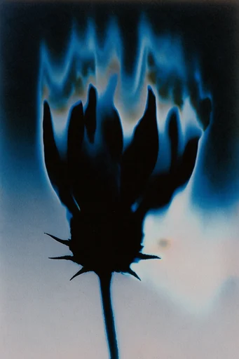 Solarized Spectral Gloom style reference image — thermal imaging palette