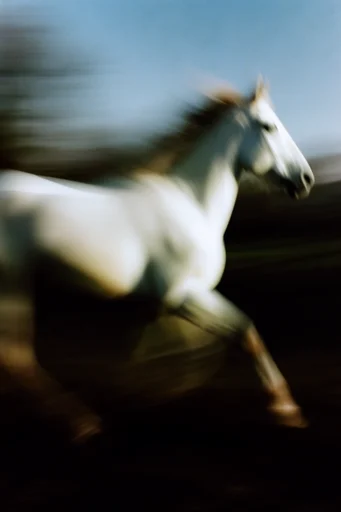 Kinetic Liquid Impressionism style AI image example 3