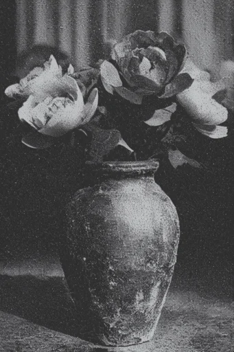 Gritty Monochromatic Noir style reference image — gritty analogue noise