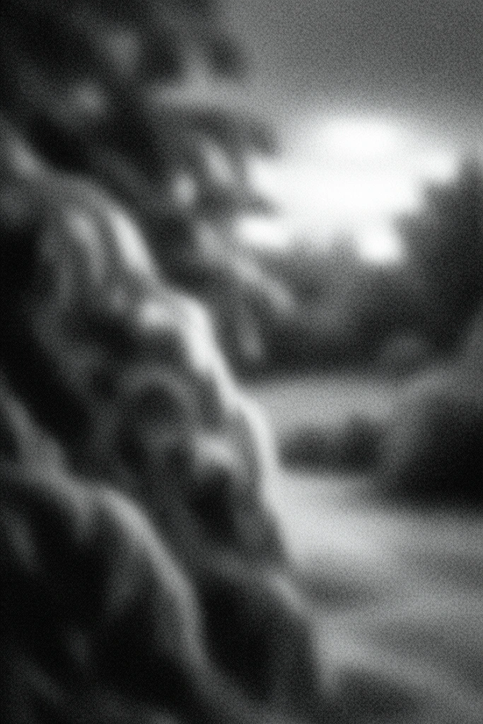 Velvety Monochrome Grain style AI image example 2