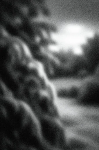 Velvety Monochrome Grain style AI image example 2