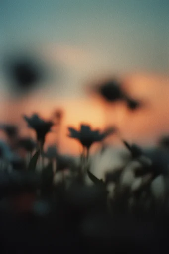 Dreamy Nocturnal Blur style reference image — cool blue and warm amber palette