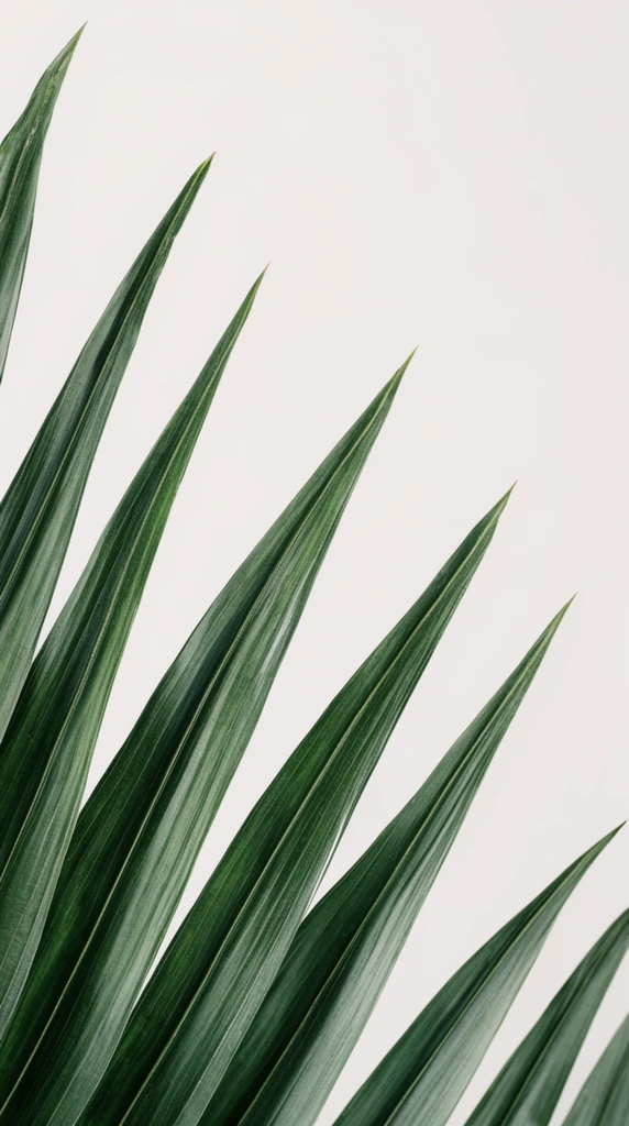 minimalist botanical close-up of palm fronds, deep green leaves entering from bottom left, sharp pointed tips stretching upward, prominent linear parallel veins, solid off-white background, ample negative space, crisp focus, high contrast, clean studio lighting