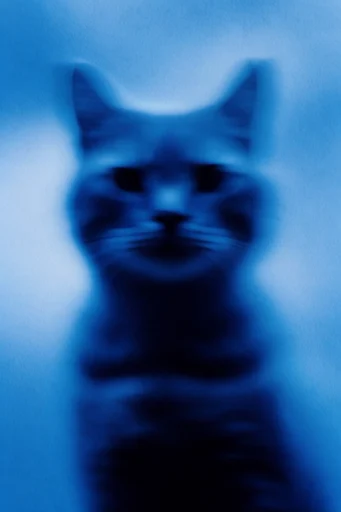 Ethereal Cyan Blur style reference image — moody low-key lighting