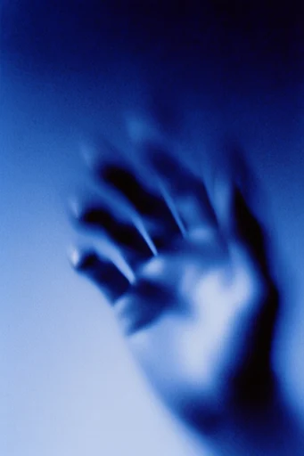 Ethereal Nocturnal Blur style reference image — heavy film grain