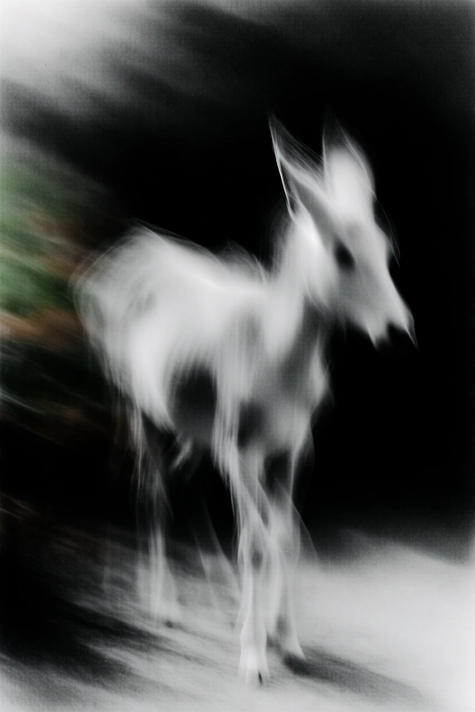 Ethereal Spectral Noir style AI image example 3
