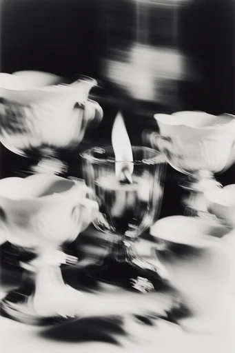 Spectral Monochrome Noir style reference image — high-contrast black and white