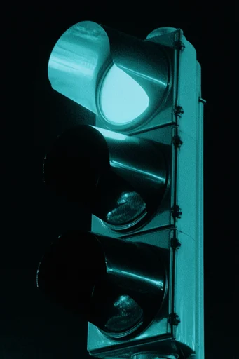High-Contrast Neon Noir style reference image — electric duotone palette