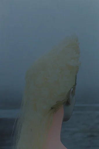 Atmospheric Melancholic Liminality style reference image — ethereal moody lighting