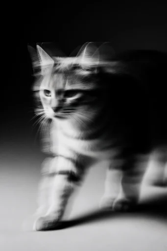 Ethereal Kinetic Noir style reference image — cinematic shutter drag