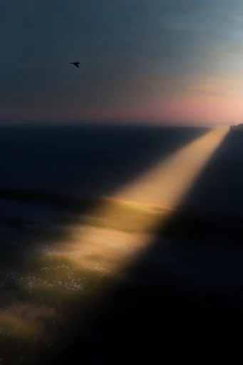Cinematic Amber Chiaroscuro style reference image — dramatic golden spotlight