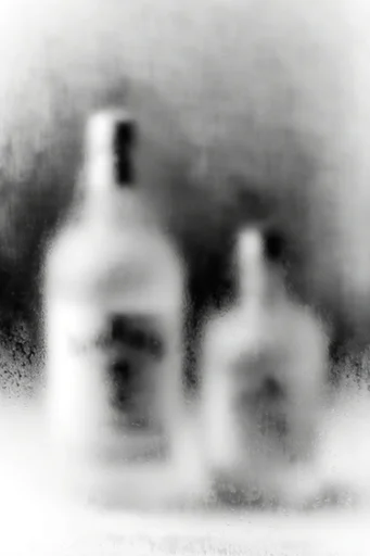 Ethereal Obscured Minimalism style reference image — soft focus atmosphere