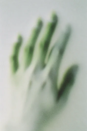 Ethereal Muted Haze style reference image — frosted glass texture