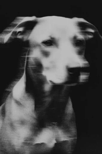 Kinetic Spectral Noir style reference image — spectral double exposure